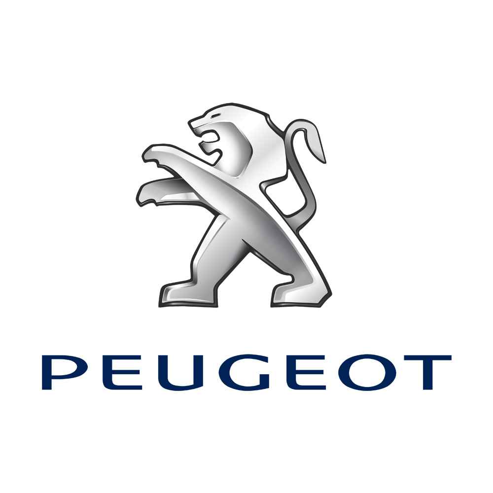 Peugeot Chapter 8 Kits