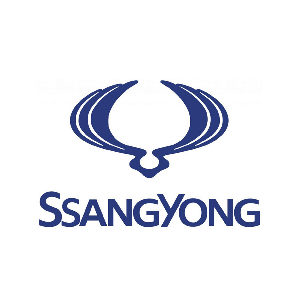 SsangYong Chapter 8 Kits
